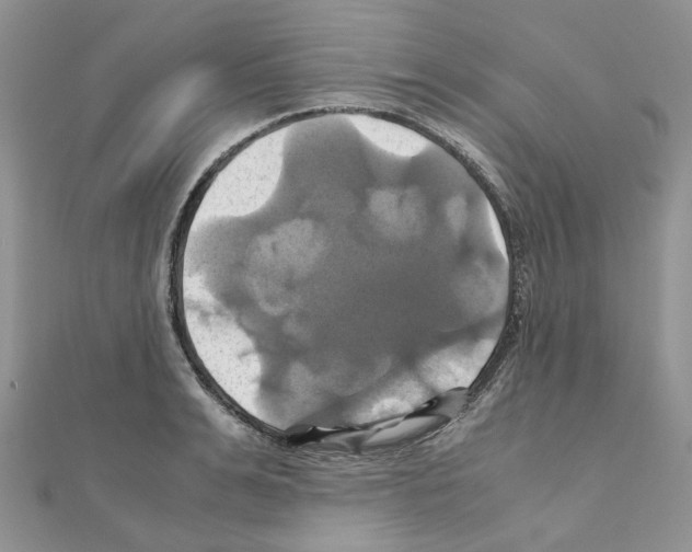 X0000110990991200907311006