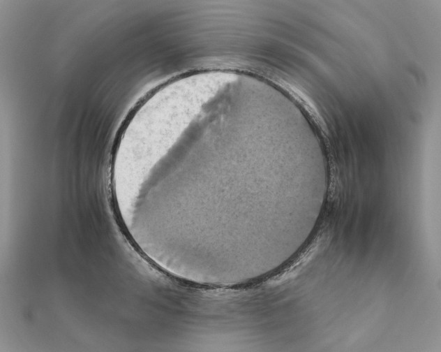 X0000110990992200907311006