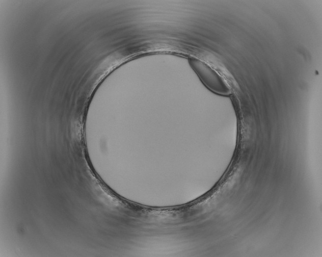 X0000110990993200907311006