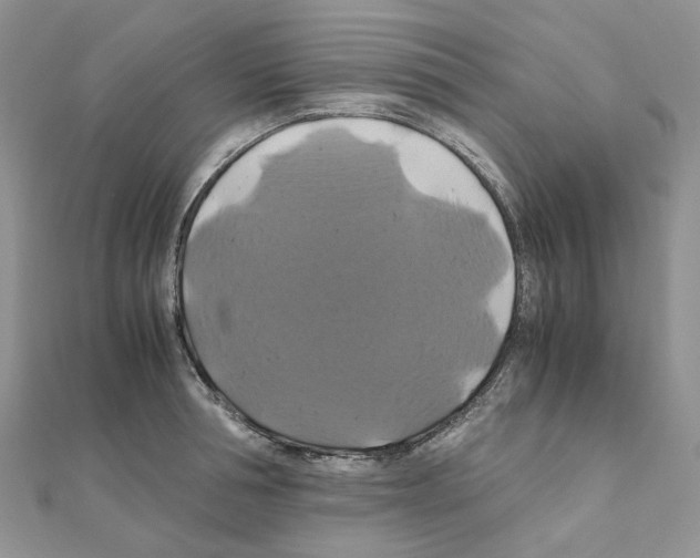 X0000110990994200907311006
