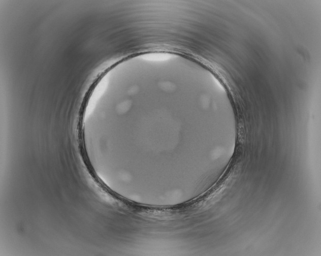 X0000110990995200907311006