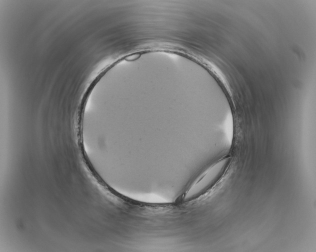 X0000110990997200907311006
