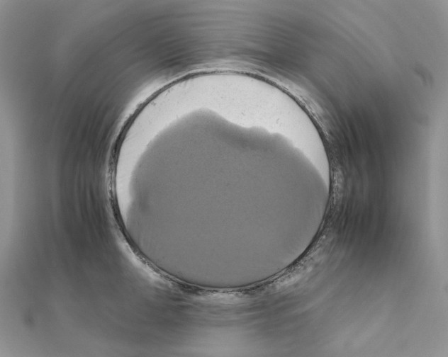 X0000110990998200907311006