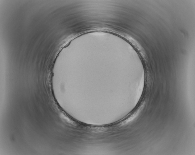 X0000110991001200907311006