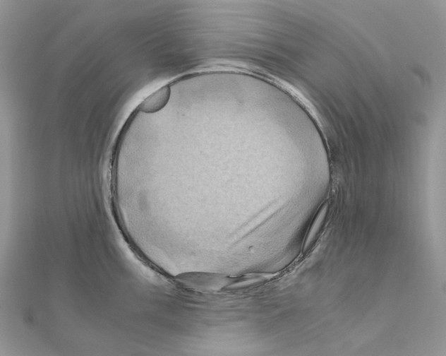 X0000110991003200907311006