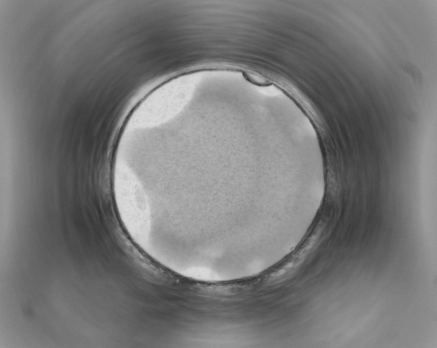 X0000110991004200907311006