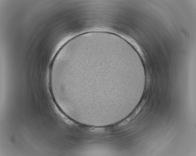 X0000110991006200907311006