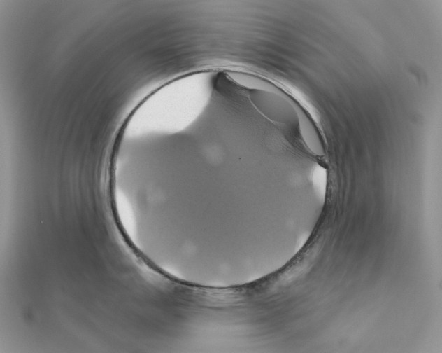 X0000110991007200907311006