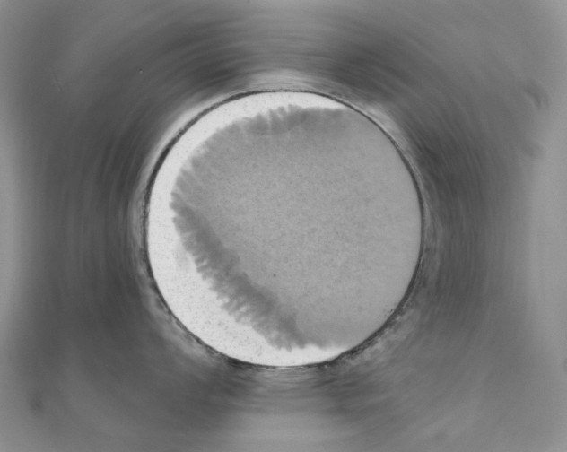 X0000110991008200907311006