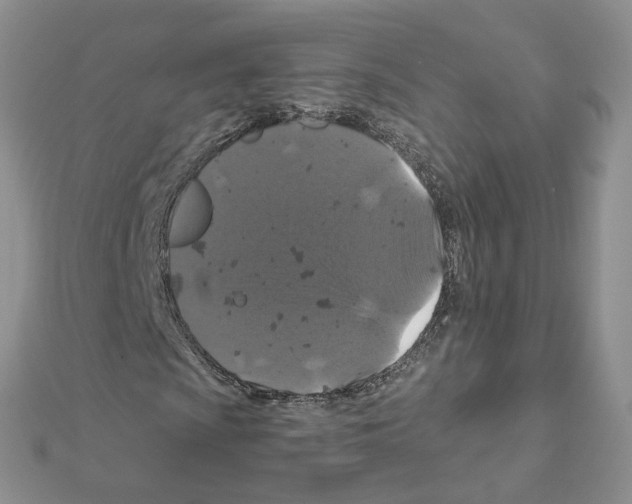 X0000110991009200907311005