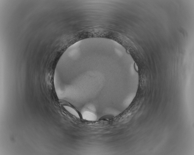 X0000110991010200907311005
