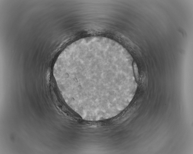 X0000110991012200907311005
