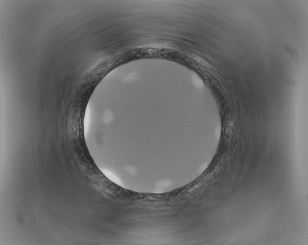 X0000110991014200907311005