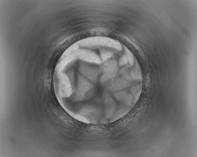 X0000110991015200907311005