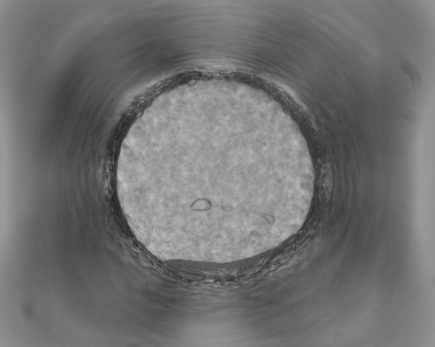 X0000110991016200907311005