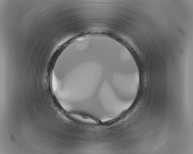 X0000110991018200907311005