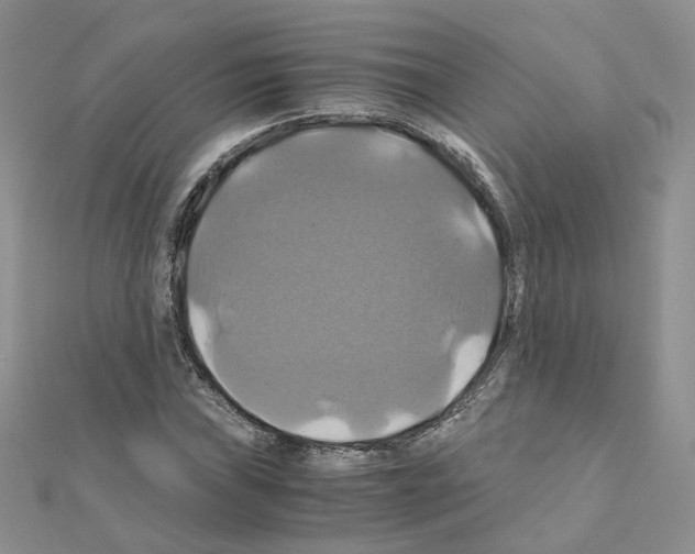 X0000110991019200907311005