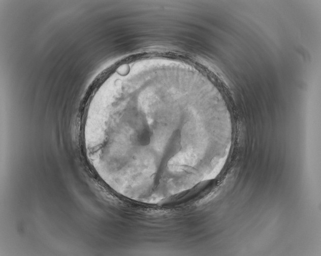 X0000110991021200907311005