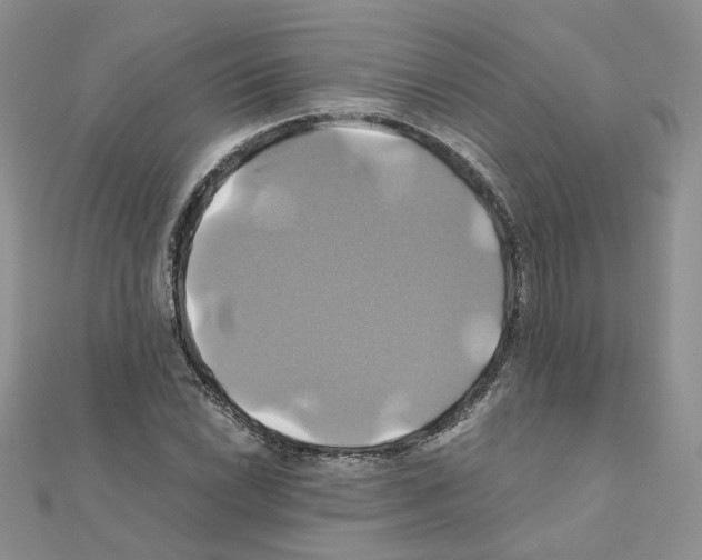 X0000110991022200907311005