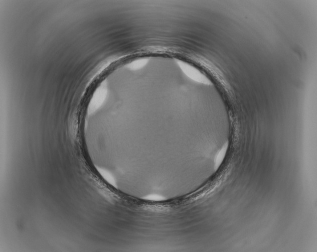 X0000110991023200907311005
