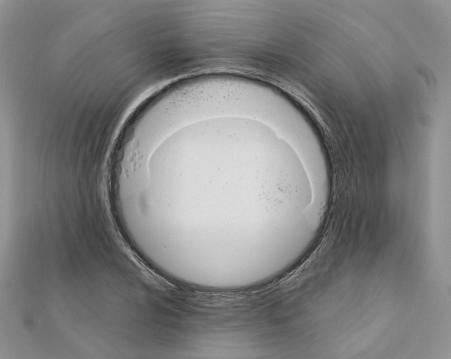 X0000110991024200907311005