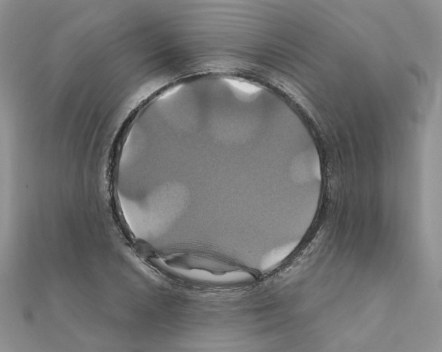 X0000110991026200907311005