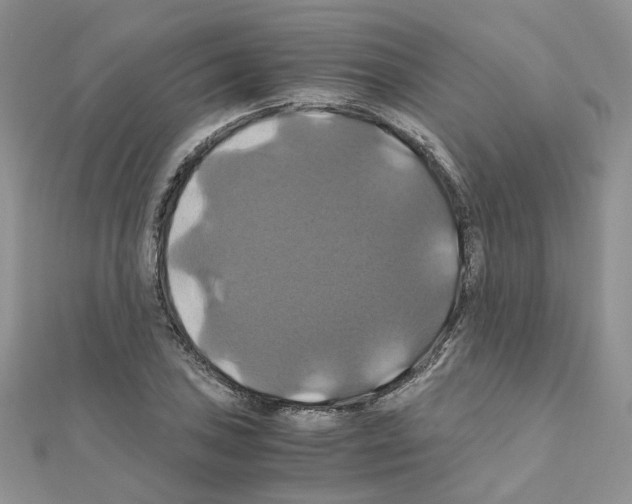 X0000110991027200907311005