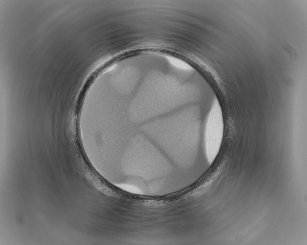 X0000110991029200907311005