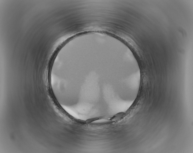 X0000110991030200907311005