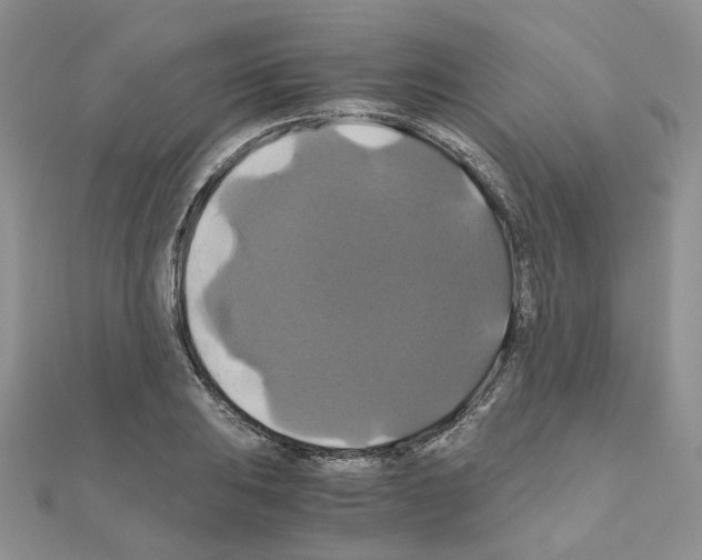 X0000110991031200907311005