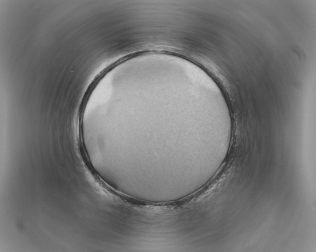 X0000110991032200907311005