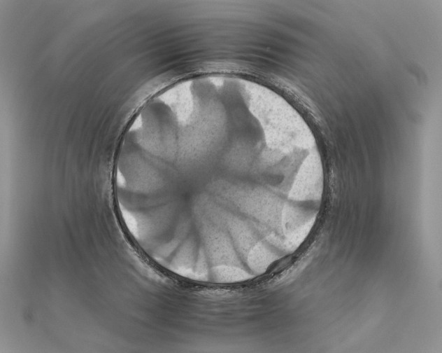 X0000110991033200907311005