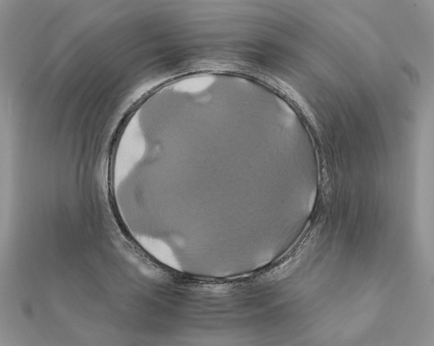 X0000110991035200907311005