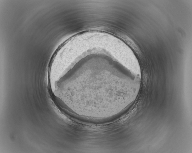 X0000110991036200907311005