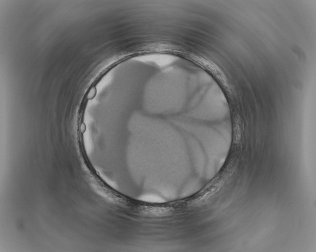 X0000110991039200907311006
