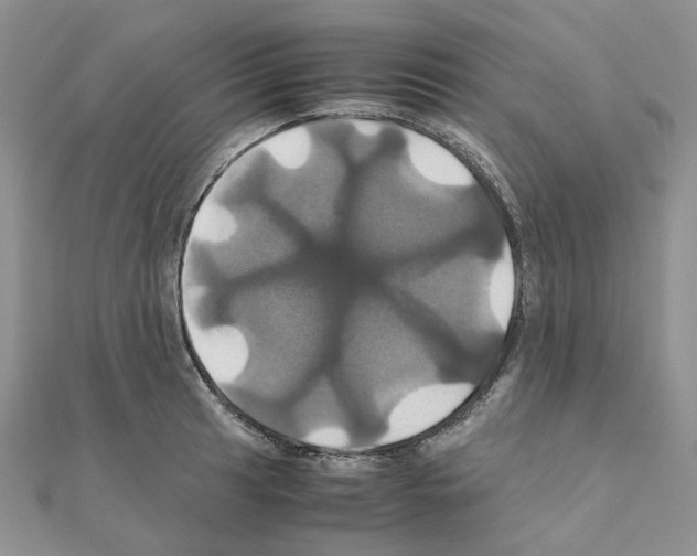 X0000110991041200907311006