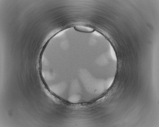 X0000110991042200907311006