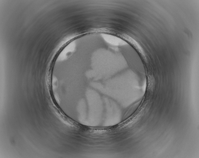 X0000110991043200907311006