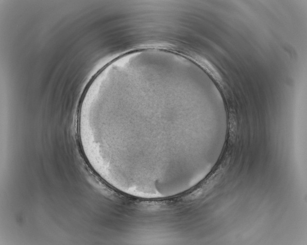 X0000110991044200907311006
