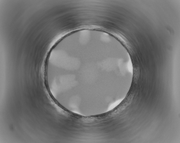 X0000110991046200907311006