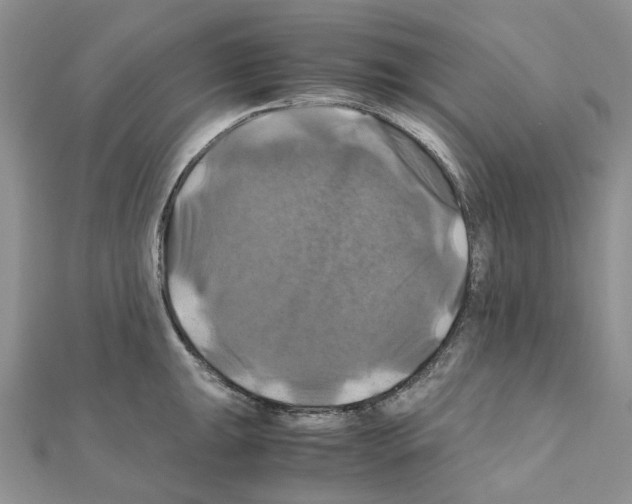 X0000110991047200907311006