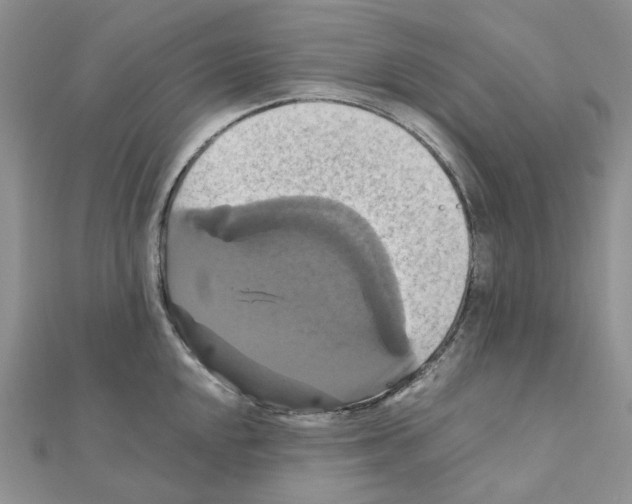X0000110991048200907311006