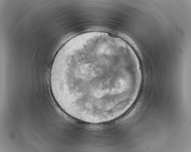 X0000110991049200907311006