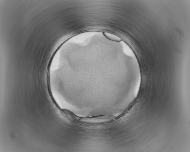 X0000110991050200907311006