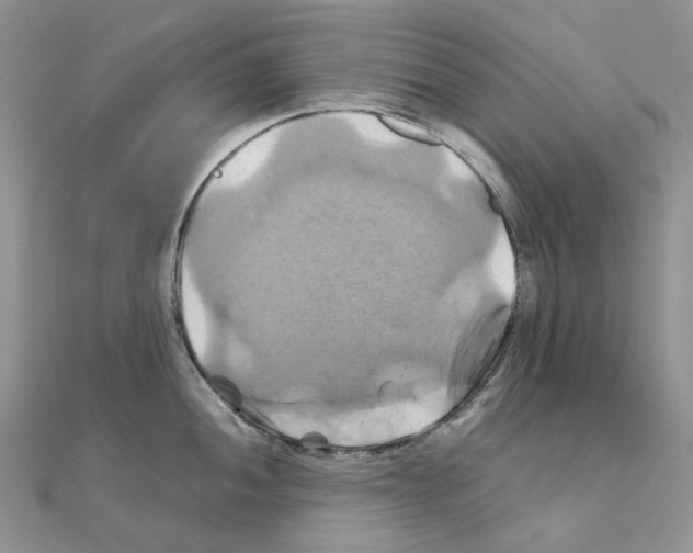 X0000110991052200907311006