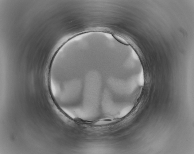 X0000110991054200907311006