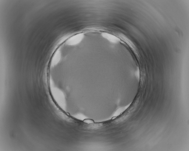 X0000110991055200907311006