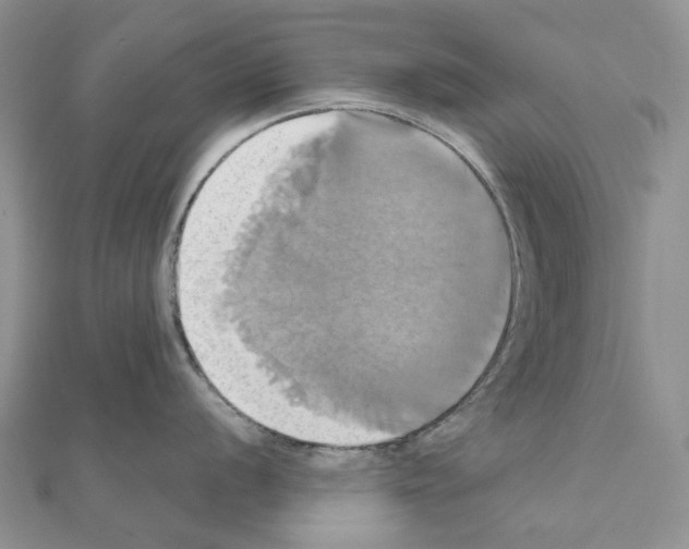 X0000110991056200907311006