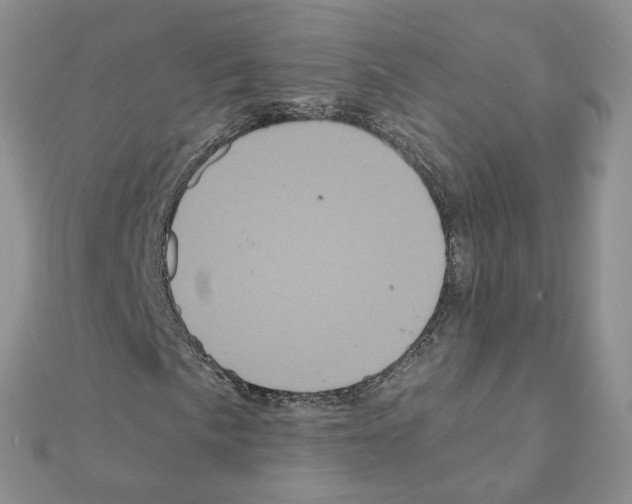X0000110991057200907311005