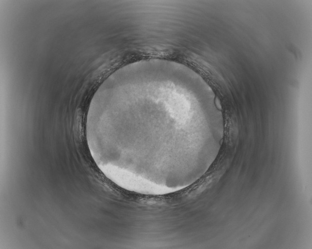 X0000110991058200907311005